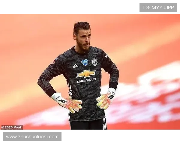 佛罗伦先租后买1500万法比安